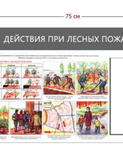 Стенд «Действия при лесных пожарах» (1 карман А4 + 1 плакат)