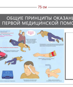 Стенд «Общие принципы оказания первой медицинской помощи» (1 карман А4 + 1 плакат)
