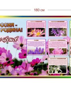 Стенд Россия - моя родина(Запах Цветов) 180х100 см