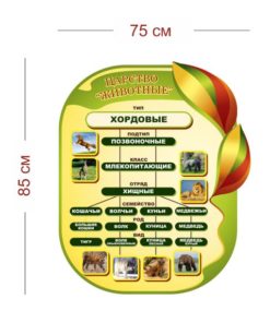 Стенд Царство Животные