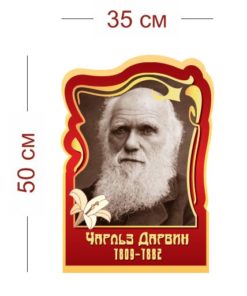 Стенд Чарльз Дарвин 35х50 см